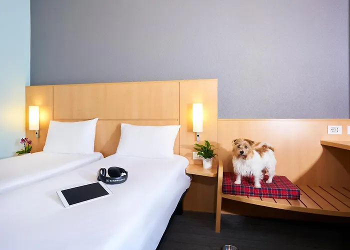 Ibis 3*