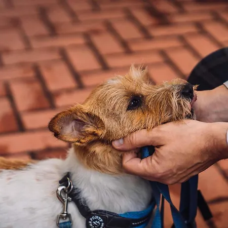 Ibis Ξενοδοχείο Grandate