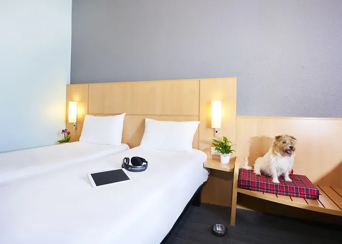 Ibis Hotel 3*