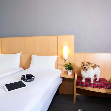 Hotel Ibis 3*